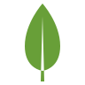 MongoDB Logo